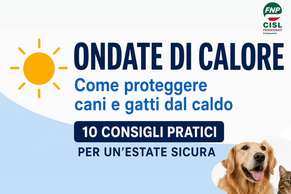 Ondate di calore: come proteggere gli amici a quattro zampe