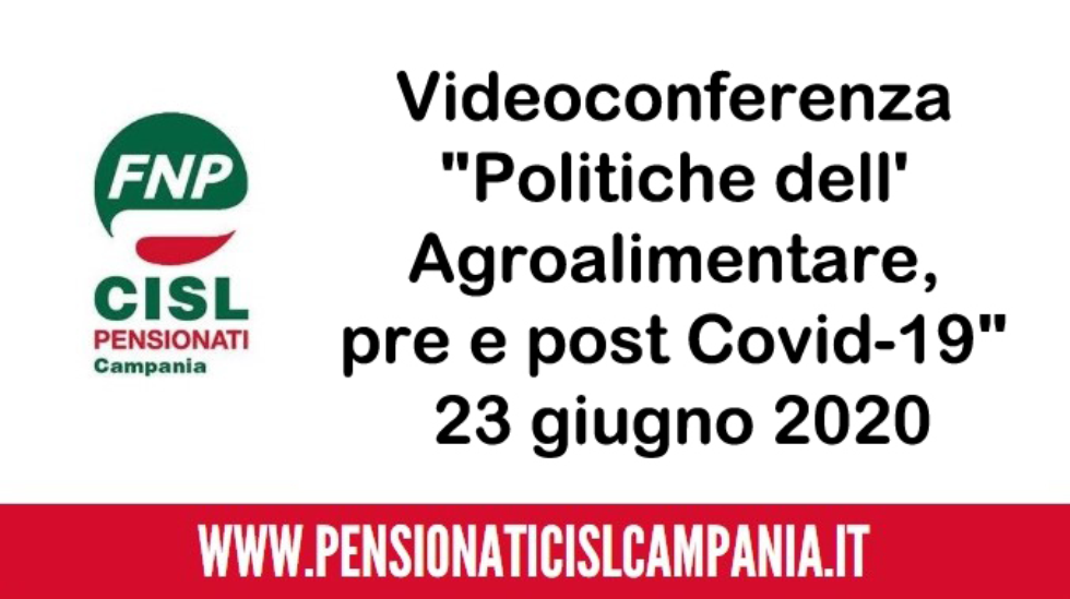 Videoconferenza 